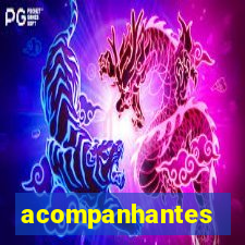 acompanhantes chamada de video